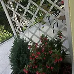 Muszla Pobierowo